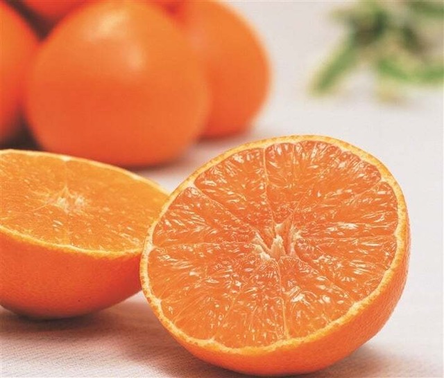 画像：紅まどんな